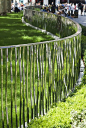 在我的博客“花园宁静”中，我写了伦敦莱斯特公园的镜子般的栏杆。