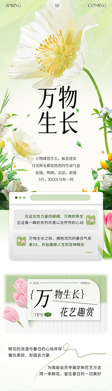 春日万物生长活动长图-源文件