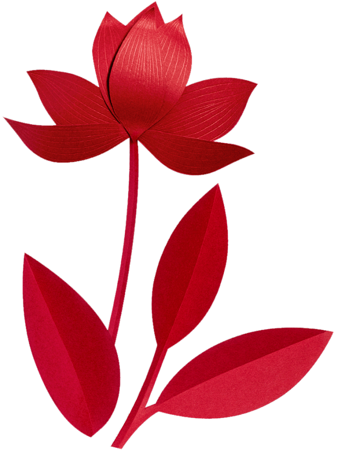 纸花 (2)