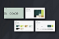 Brand Guideline brand identity brand manual Brand style brandbook branding  branding guide Company Branding Style Guide visual identity