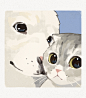 Fk9QNHMagAEVtKL (1446×1646)