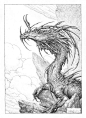 Lurking Dragon, Filip Burburan : Lurking Dragon by Filip Burburan on ArtStation.