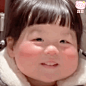 丸子表情包