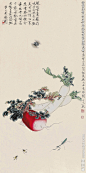 【国画大师于非闇作品 —— 萝卜草虫图】