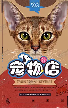 宠物海报 【酷图网】宠物,宠物医院,宠物医生,宠物海报,宠物展板,宠物生病,宠物治病,宠物诊所,微信,动物医院,宠物护理,动物诊所,宠物美容,宠物医院海报,宠物猫,宠物狗,狗狗生病,宠物兔子,宠物店海报,宠物交易,宠物衣服,宠物粮食,宠物医院招牌,宠物买卖,宠物店,宠物之家,宠物摄影,宠物广告