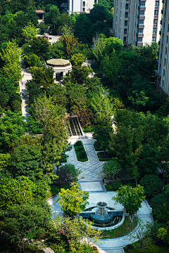 浆糊套路采集到社区