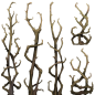 Object_073