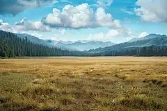 秋季大草原精美壁纸