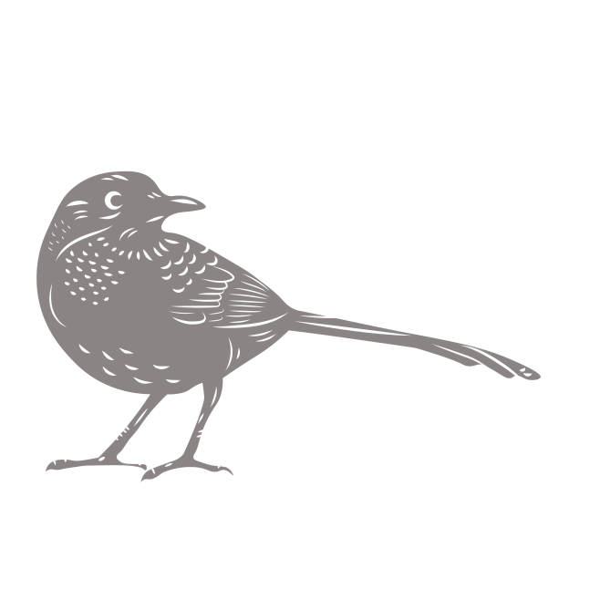 Bird-10