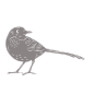 Bird-10