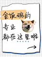 教育吸睛梗图猫咪表情包小红书封面