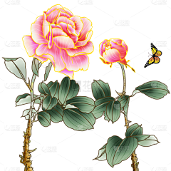 花瓣素材采集到【免抠】花卉元素