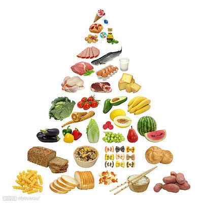 饮食金字塔的 搜索结果_360图片