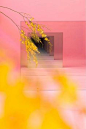 Pink With Yellow. #inspiration www.agencyattorneys.com
