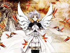 Clover: I Am Suu.Clover Wallpapers 动漫桌面壁纸背景图片下载