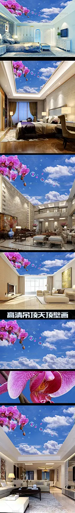 梦幻兰花云朵花吊顶天顶壁画