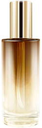 效果1