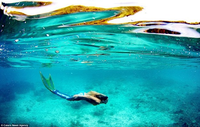 帕劳群岛的洛克群岛海域沃尔伯特正在进行美人鱼表演