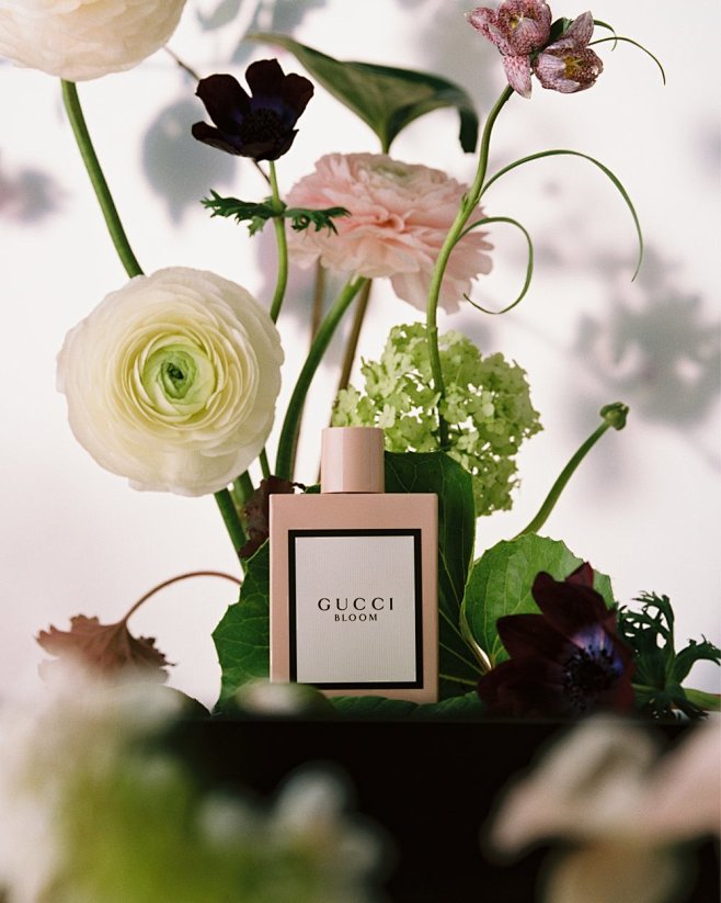 bloom-fleurs-pauline...