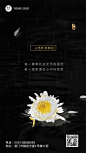 清明节追思哀悼动态海报