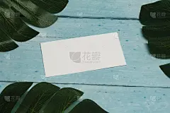 真实模拟的名片与热带植物，在浅蓝色木制背景。