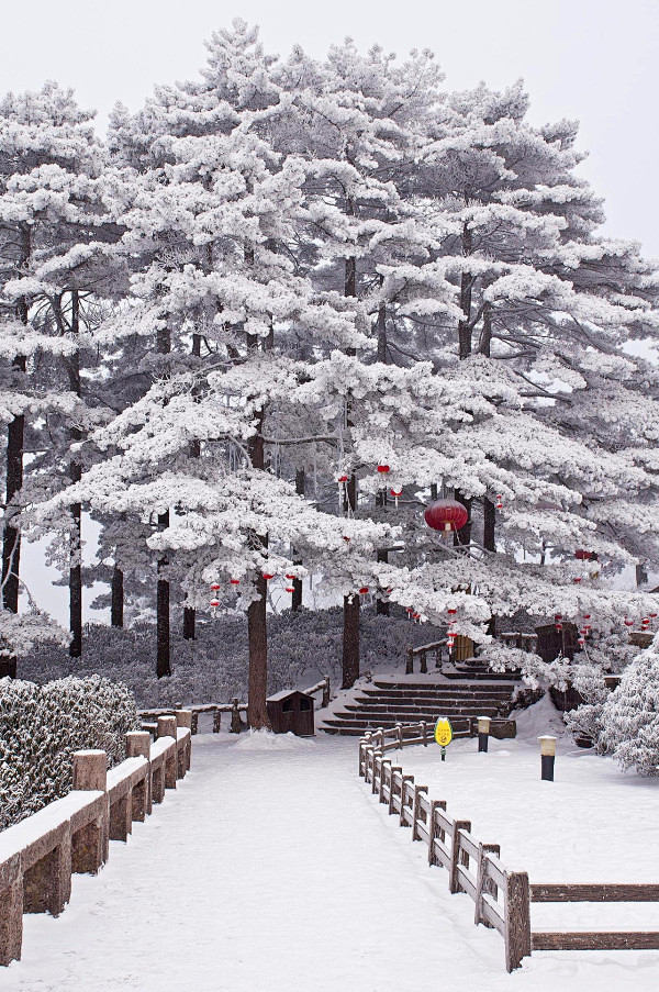 【冬天style】黄山冬雪