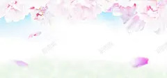 花茶海报高清素材 平面广告 设计图片 免费下载 页面网页 平面电商 创意素材 png素材