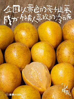sai崽呀sai崽采集到Copy / 文案