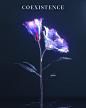 3D beauty CGI colors design Digital Art  flower Love Nature Render