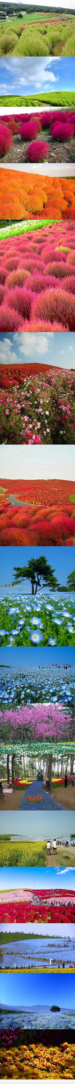 疯茉采集到风景