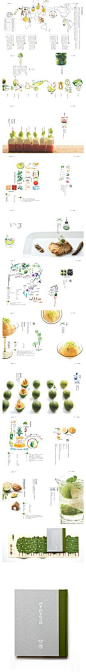 跟著節氣學吃酸．檸檬 - 種籽設計