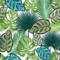 鸡尾酒,叶子,棕榈树,四方连续纹样,清新,干酪藤,壁纸,Calathea,自然美,植物