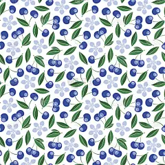 可爱的樱桃无缝图案。