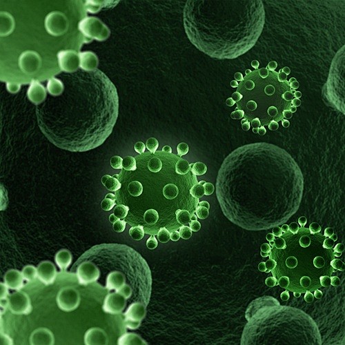 血小板细菌病毒胞杆菌孢子蛋白毒素医疗显微...