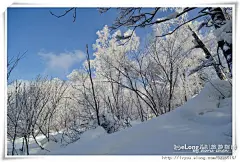 2013新年去东北踏雪之勇者穿越（东升
