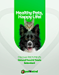 Social Media - PetShop PetNmIND :: Behance