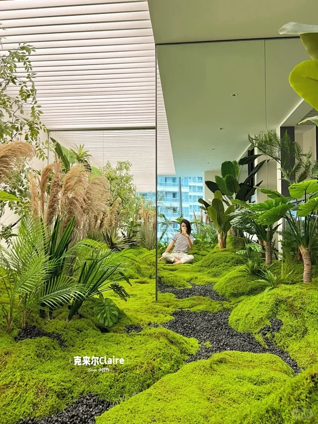 绿植造景 - 小红书搜索