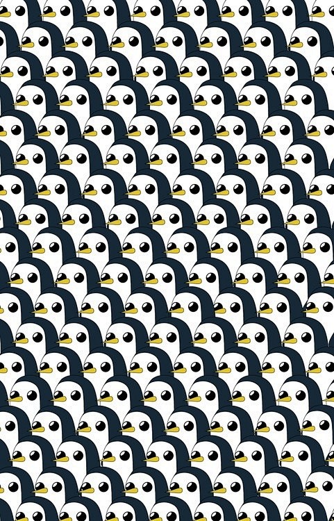 Lots of penguins ★ i...