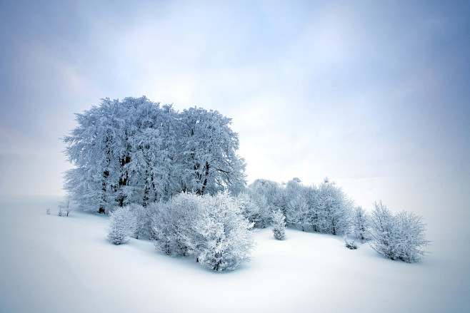 Winter by Nikolay St...