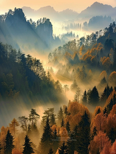 酒九八十一采集到自然场景