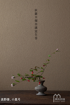 lijiaxin_008s采集到插花

