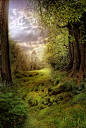 BG Fantasy Forest stock by irinama on deviantART