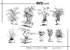 溪茈采集到手绘 花艺