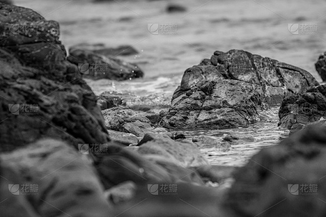 黑色和白色海岸的海