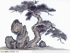 仓泱采集到素材