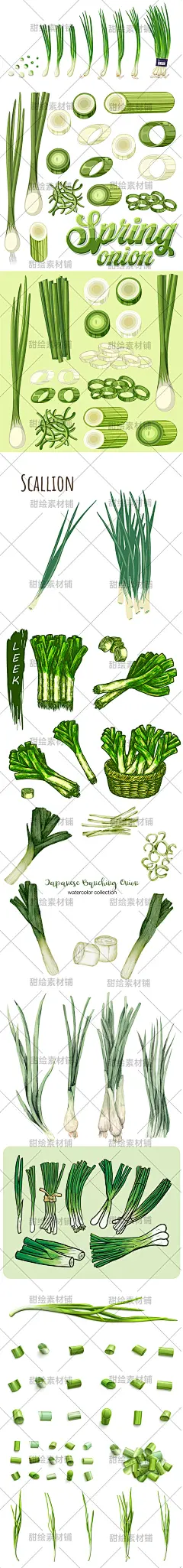 手绘植物蔬菜食物调味葱花小葱大葱元素插画AI矢量设计素材-淘宝网