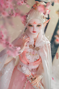 绛子染采集到BJD