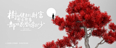 agony_U樂采集到banner/主图/直通车