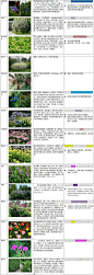 最新整理-花镜营造必备植物库-水景生态野趣大集合-花镜-水生-藤本-观赏草等-生长习性-花期整理集合