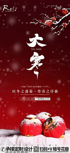 大寒节气雪花中国风海报 (8)